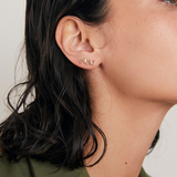 ARETE INES