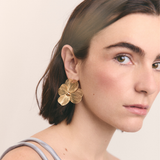 ARETE VERONICA