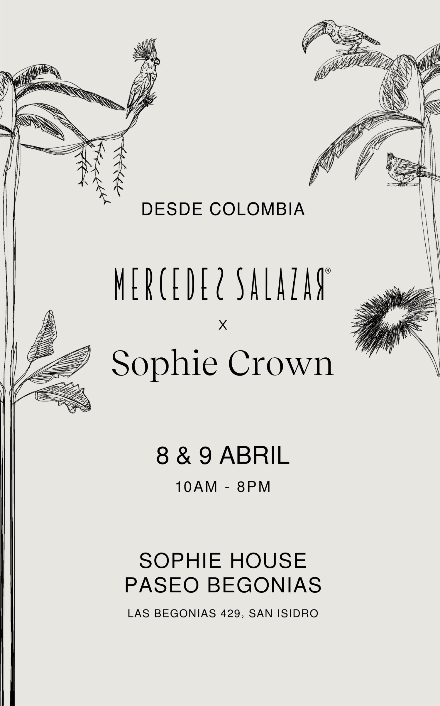 Imagen de diapositiva