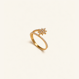 ANILLO ROMI