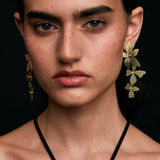 ARETE RADIANCE