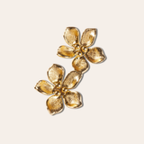 ARETE CAMELIA