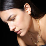 COLLAR ESSENCE