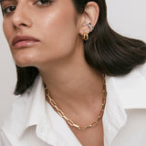 COLLAR ELIE BOLD
