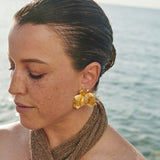 ARETE NEW BEGINNINGS