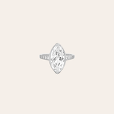 ANILLO BELL