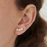 Arete trepador flor gold